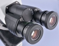 Мікроскоп EX31-B