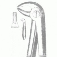 Щ-172 Щипцы для удаления клыков, резцов, премоляров нижней челюсти № 13.
